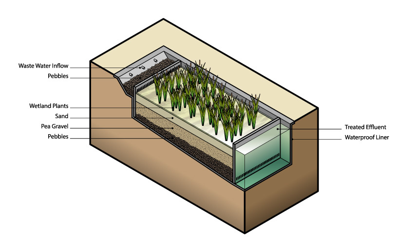 model of root zone wastewater treatment